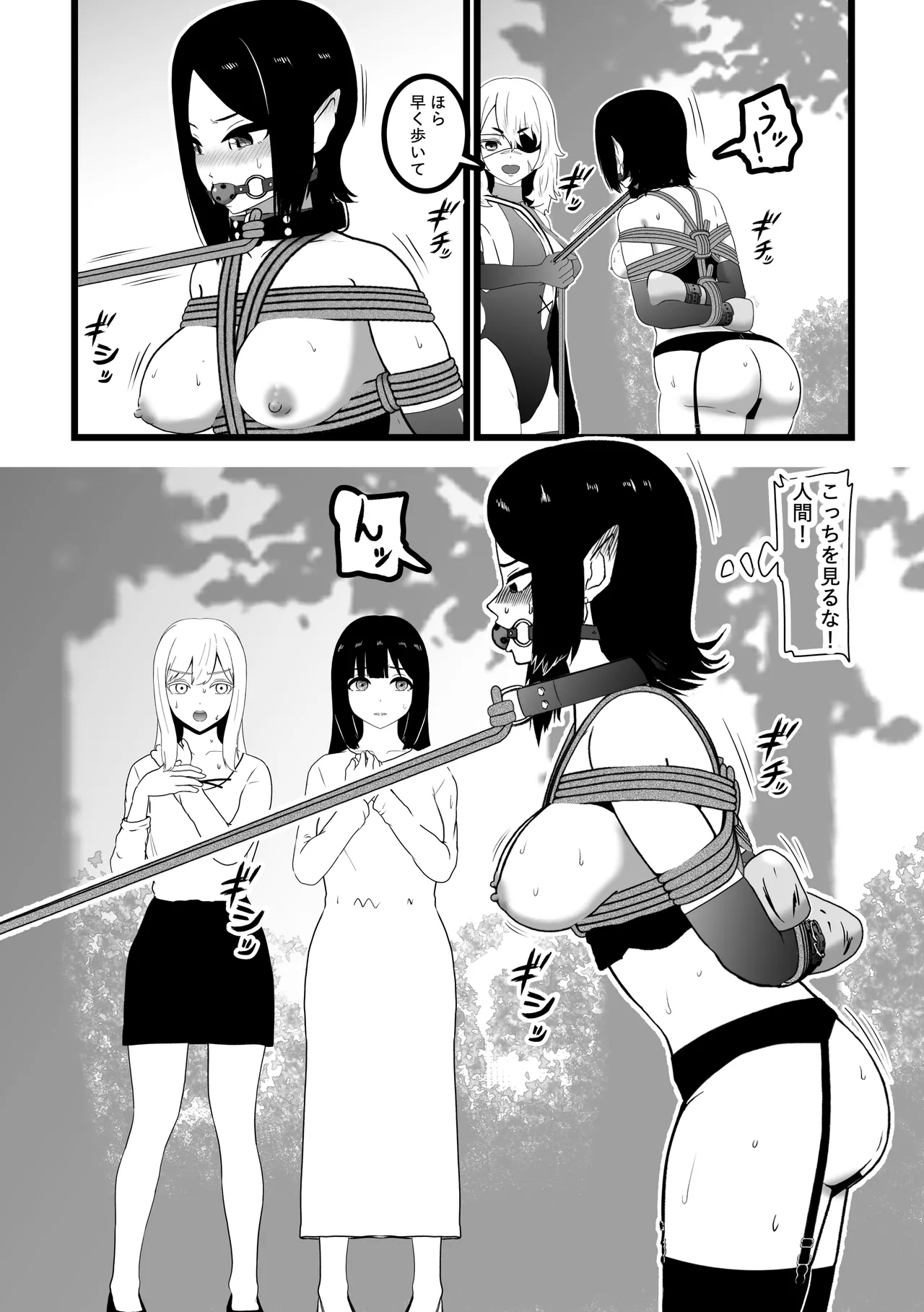 ヴァンパレイド9 〜吸血鬼 三姉妹 脱走編〜 - page15