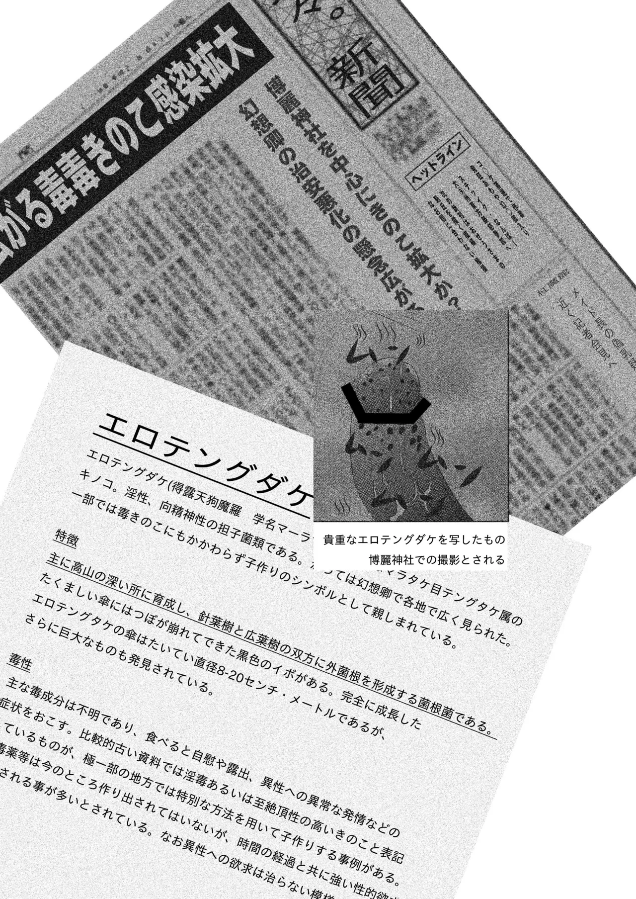 霊夢の毒毒きのこご乱心 - page3