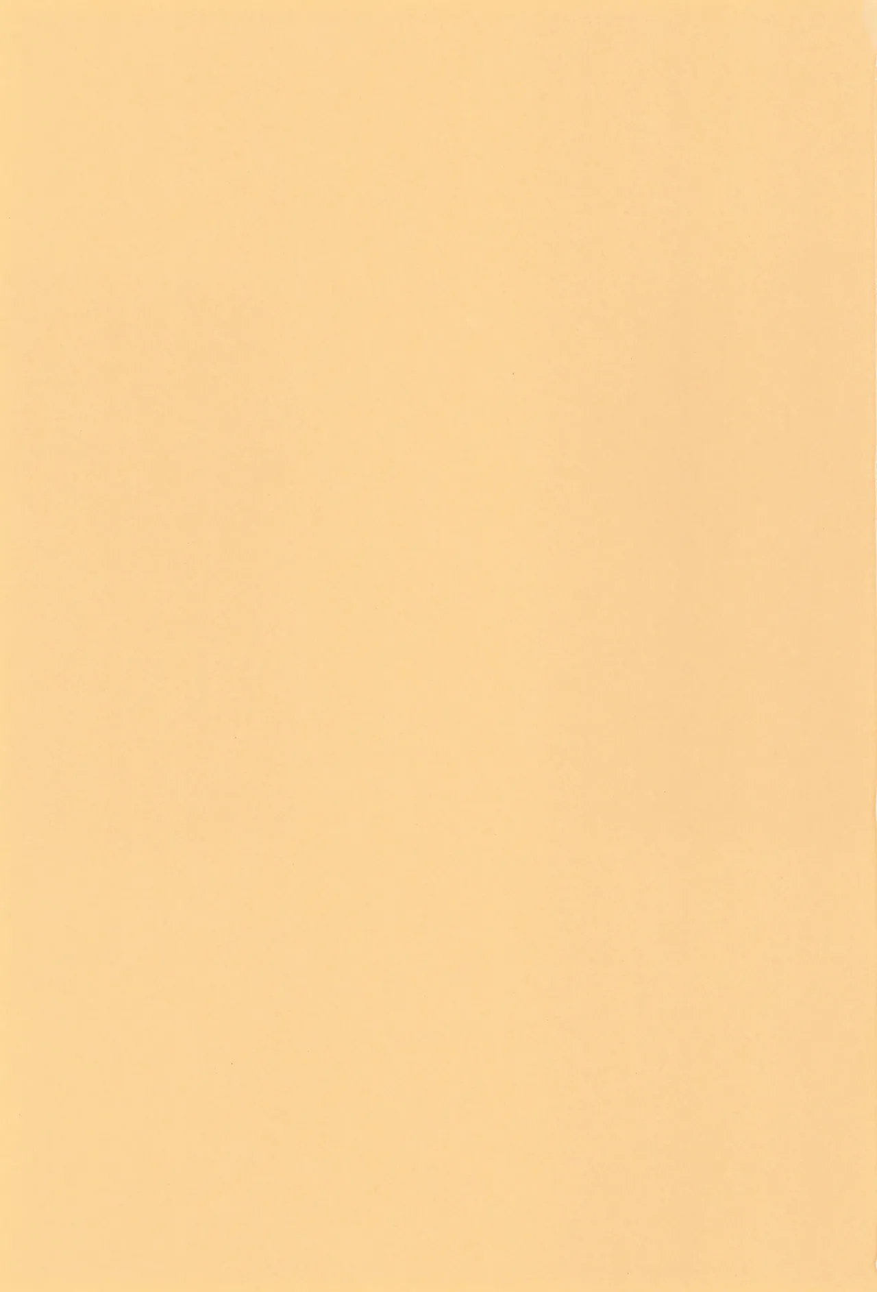 ウェルカム・ホーム - page3