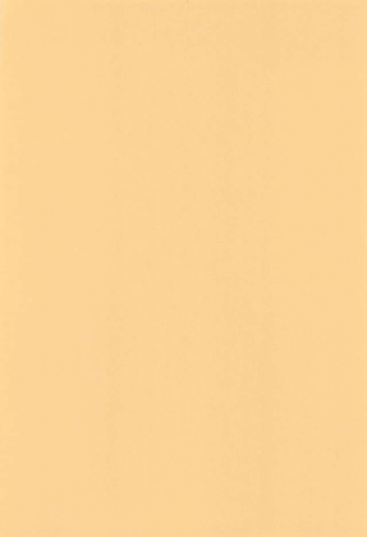 ウェルカム・ホーム - page4