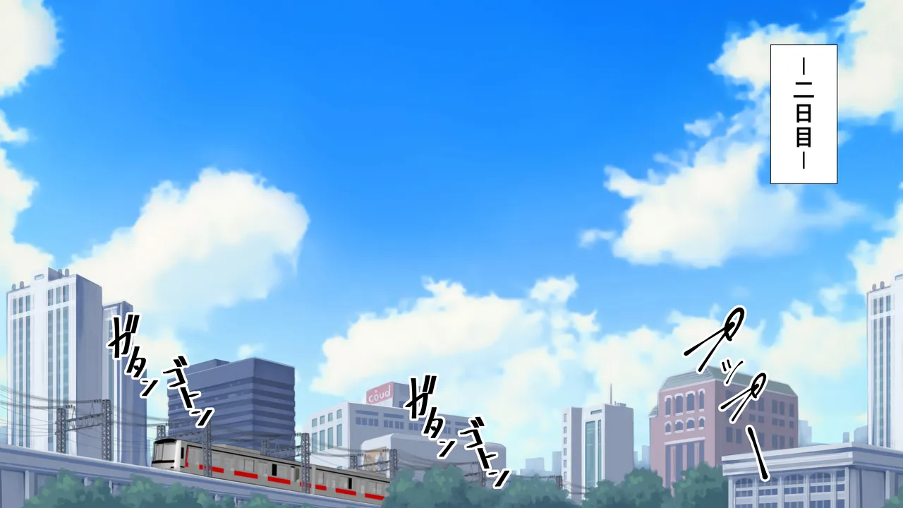 膣破壊系女子8 - page11