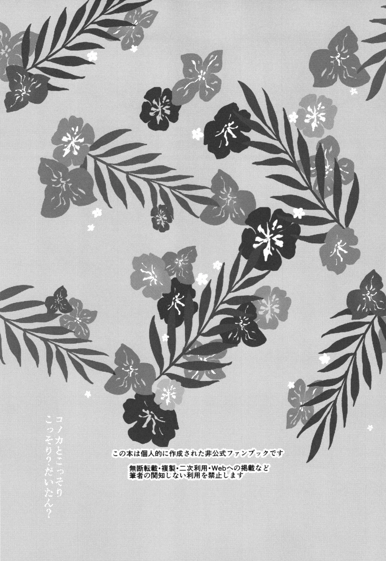 コノカとこっそり - page2