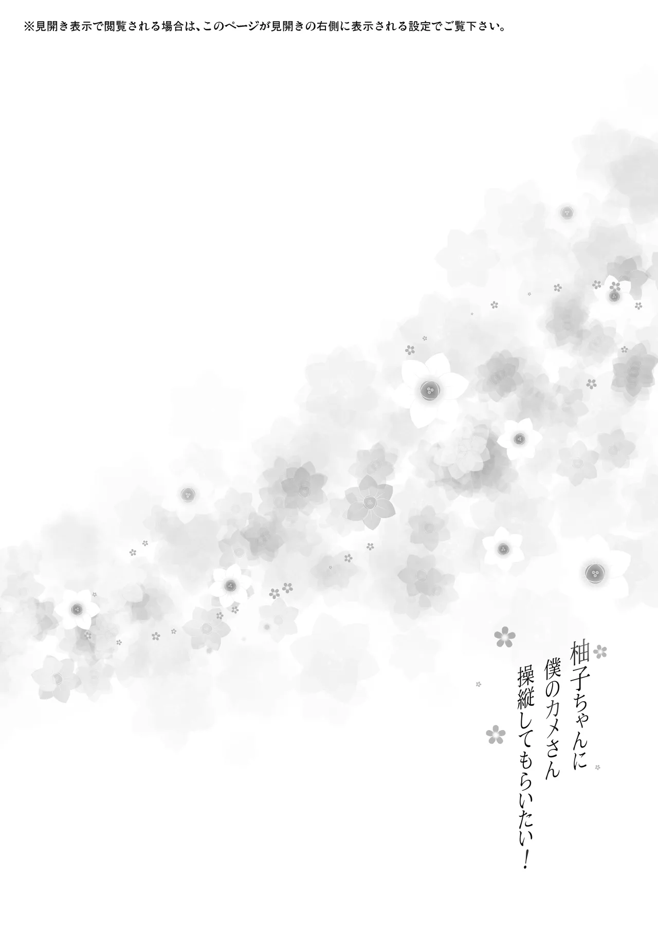 柚子ちゃんに僕のカメさん操縦してもらいたい！ - page3