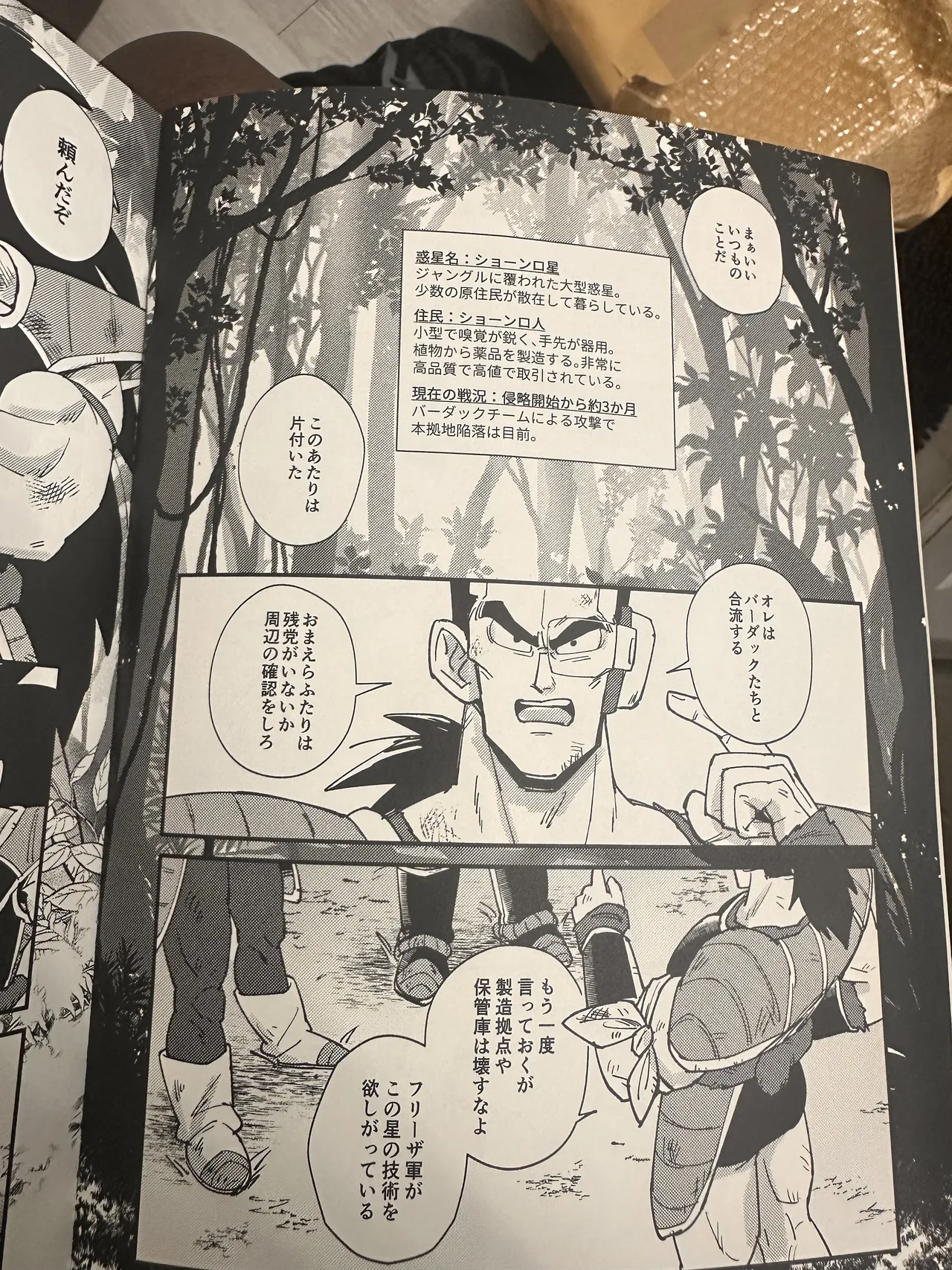 Raditz - page26