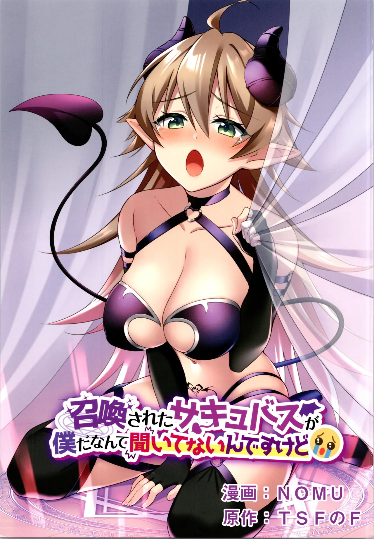 TSFのFのほん その12 - page3