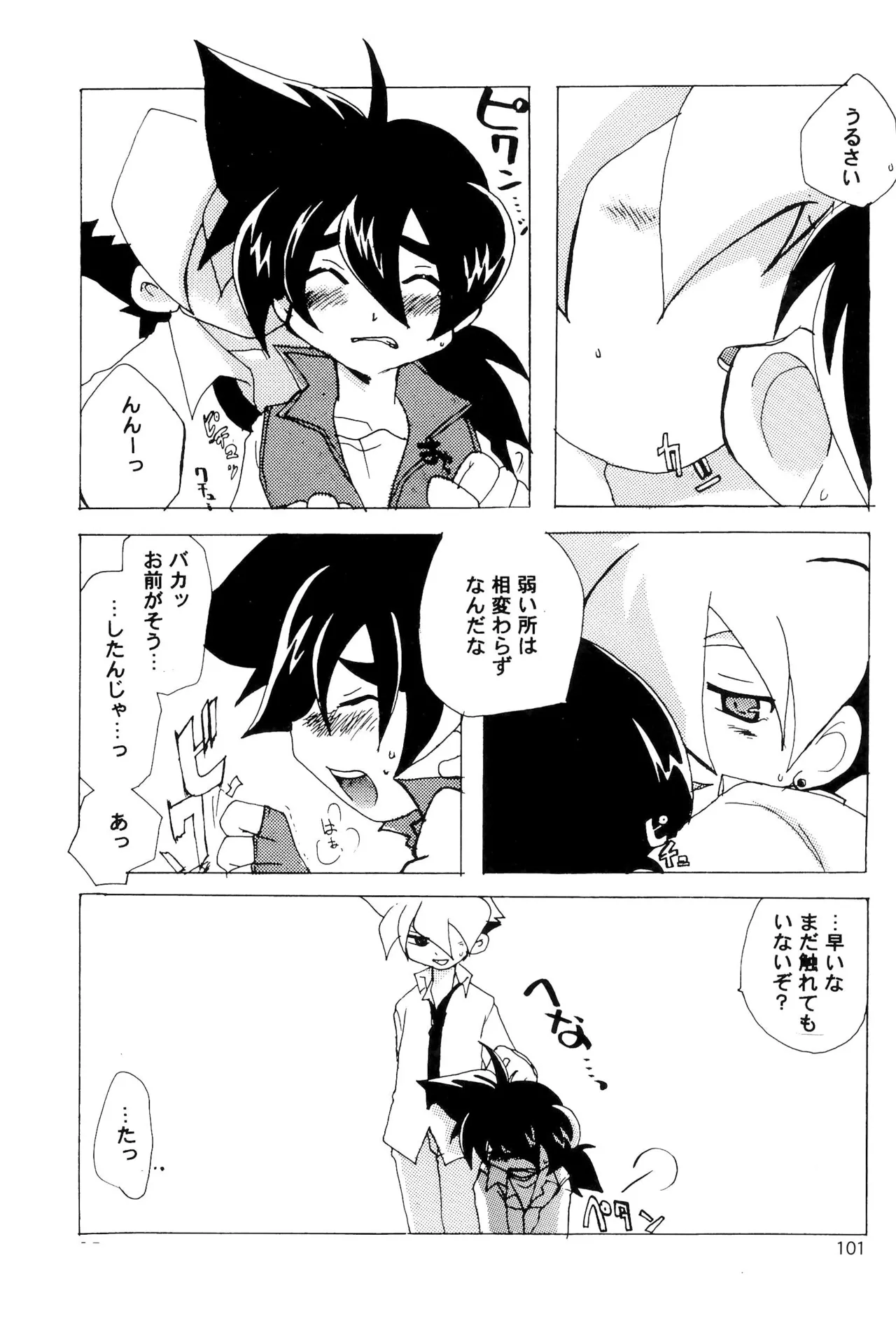 カプセルブック - page101