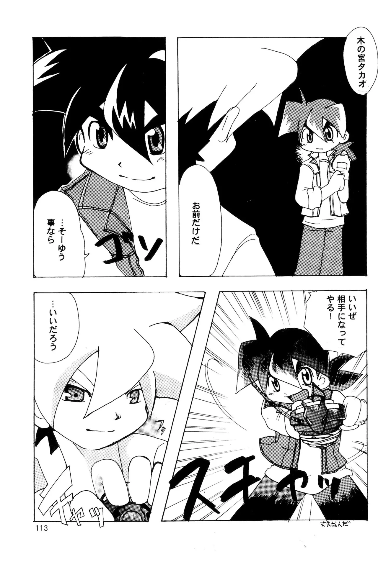 カプセルブック - page113