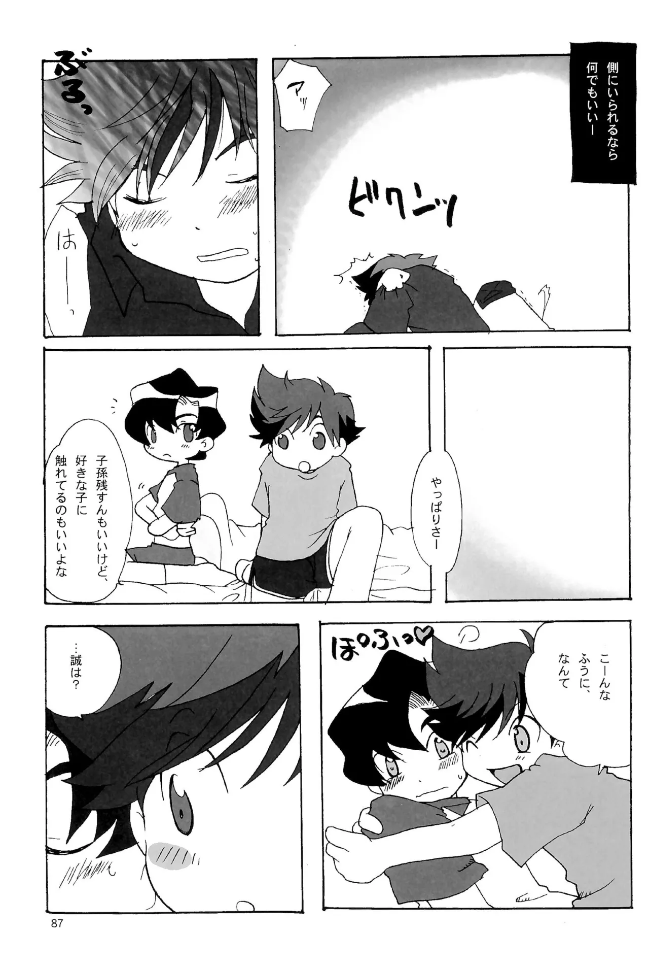 カプセルブック - page87
