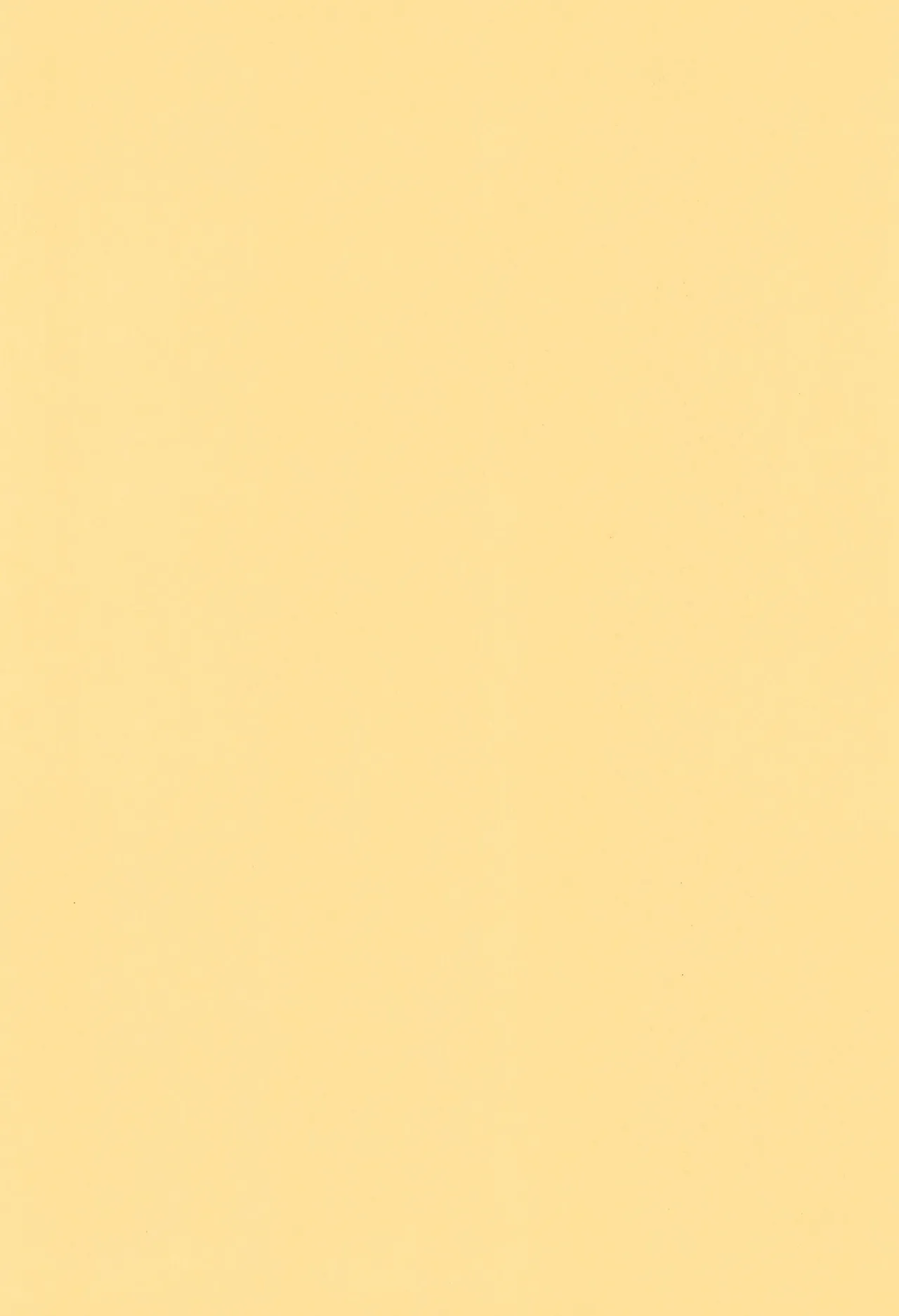 ナイショだよのおまけの本 - page2