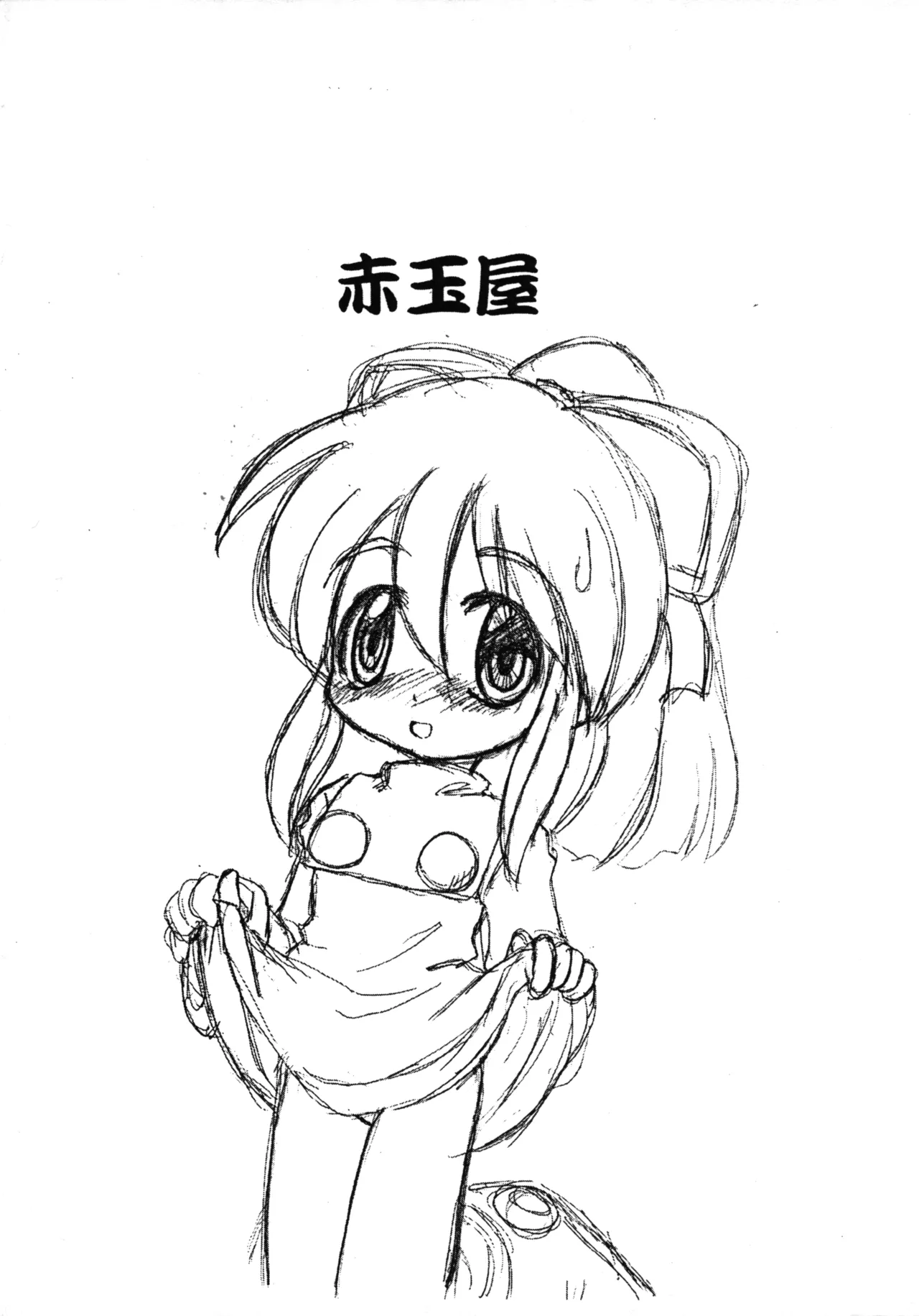 赤玉屋広報 巻之壱 - page12