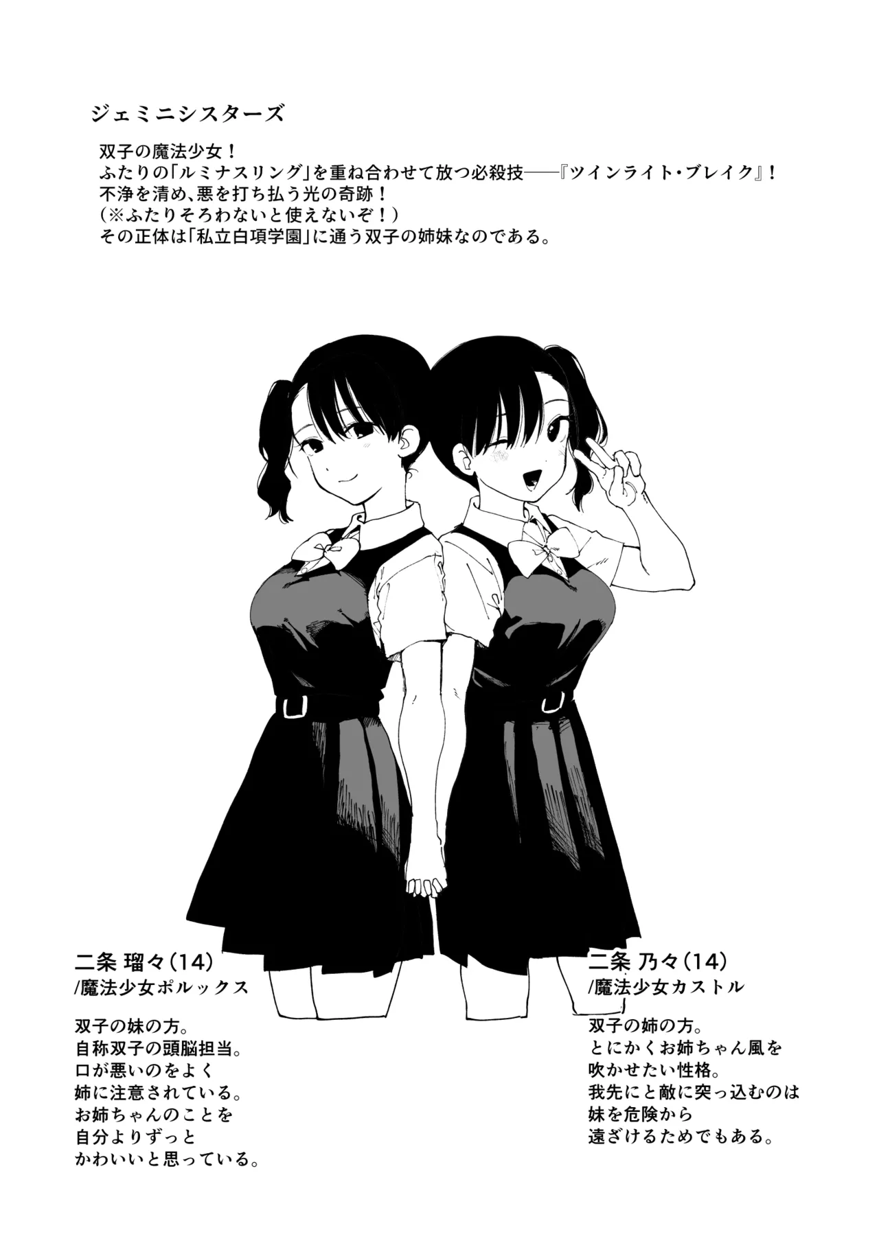 魔法少女シリーズ - page23