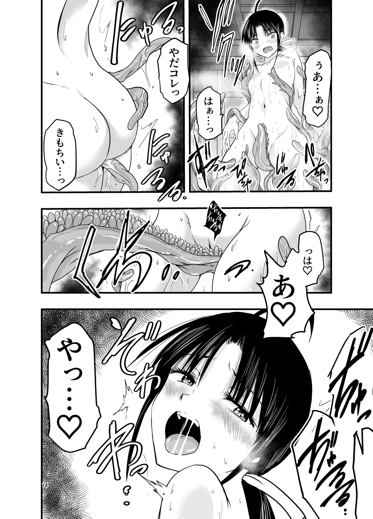 触手は贄に理解らせたい - page14