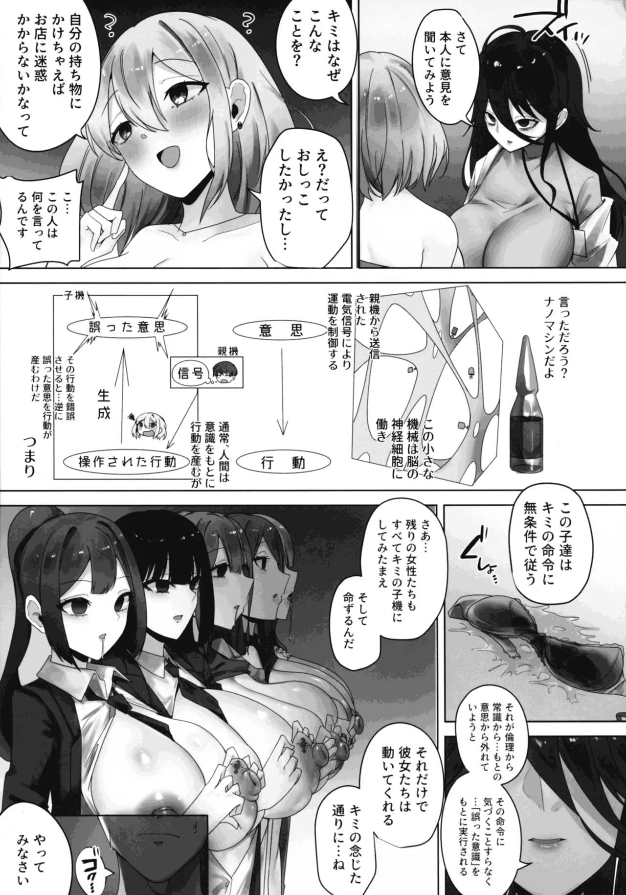 ナノマシン投与による端末化女性個体群への操作可能性に関する諸考察 - page13