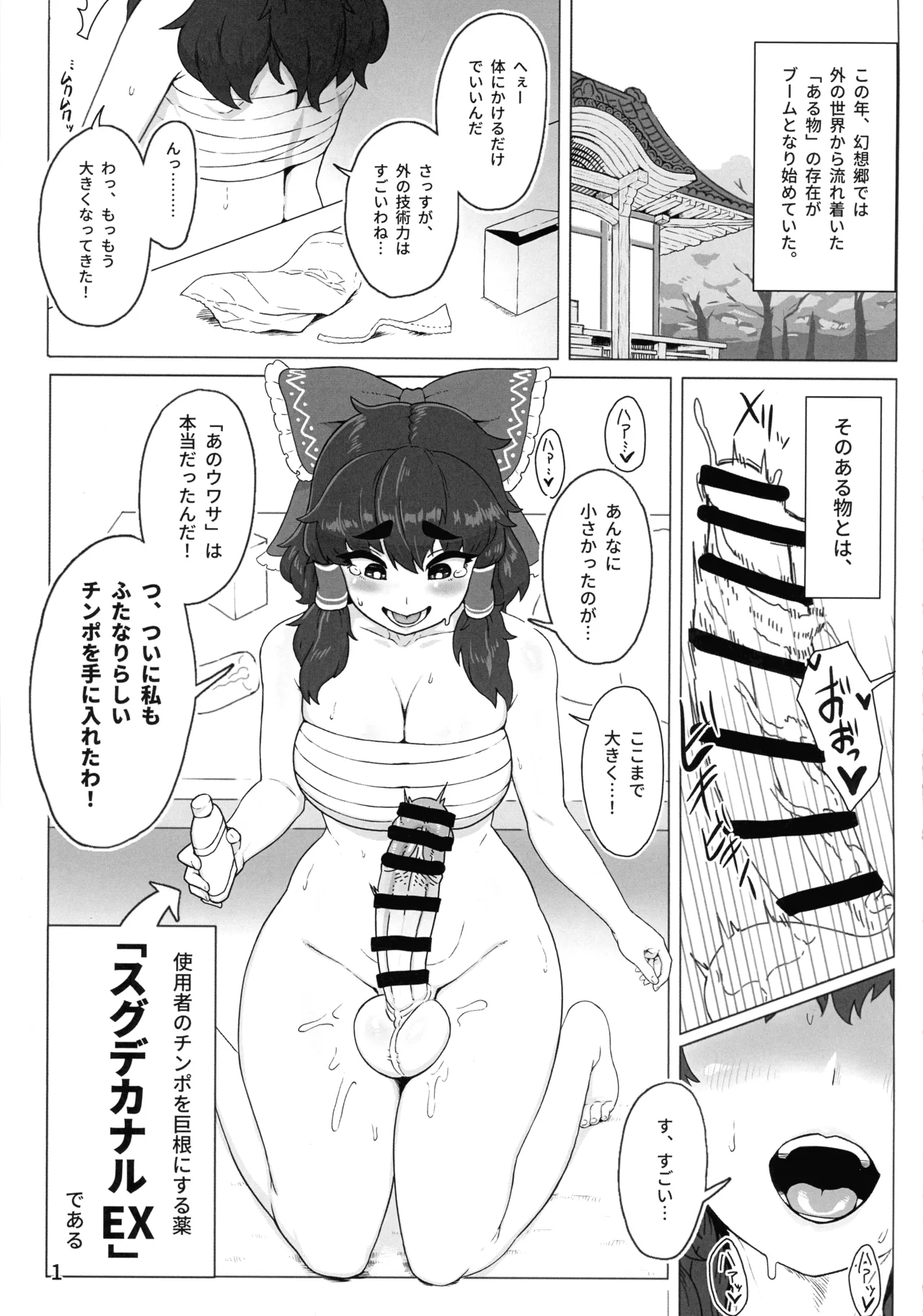 東方ふたなり事変 巫女と妖精、初めての尿道セックス - page3