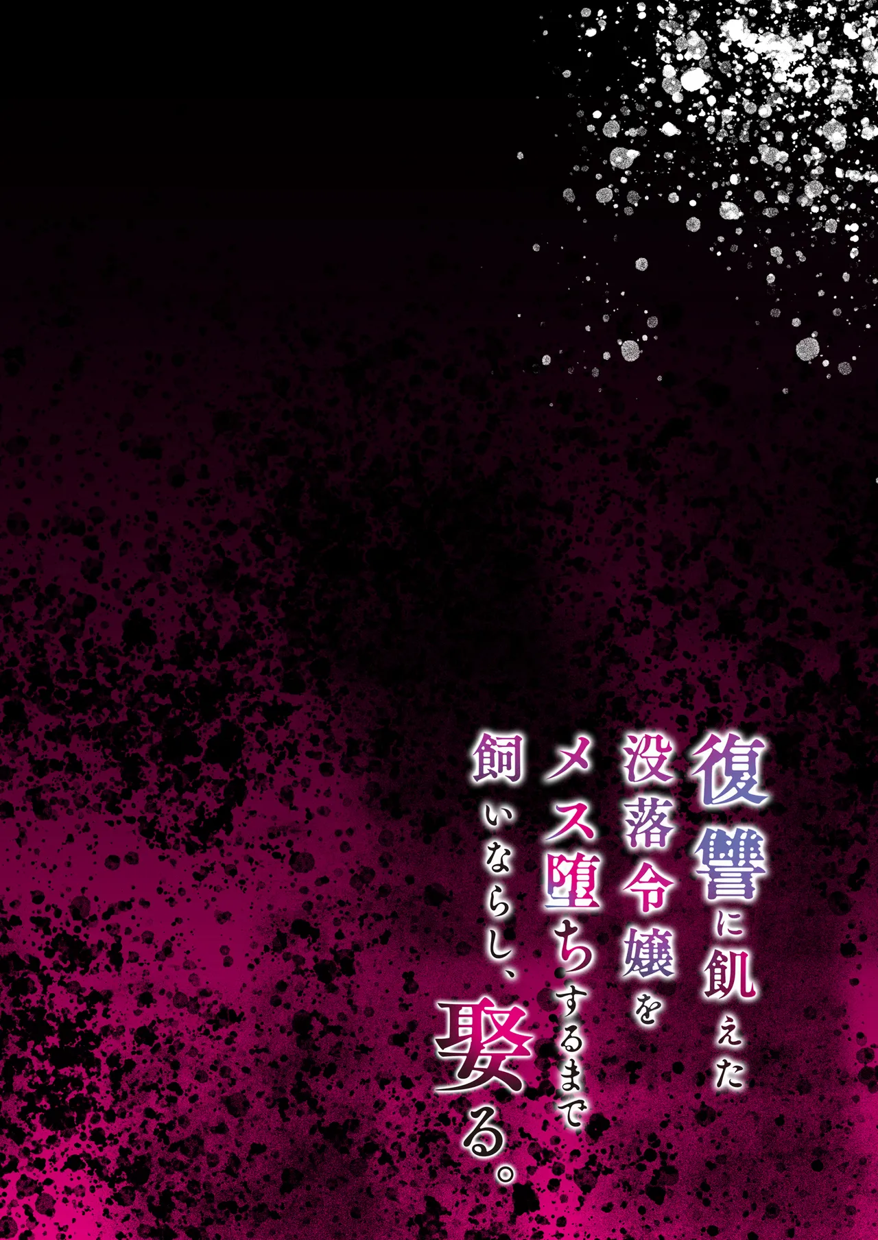 復讐に飢えた没落令嬢をメス堕ちするまで飼いならし、娶る。 - page2