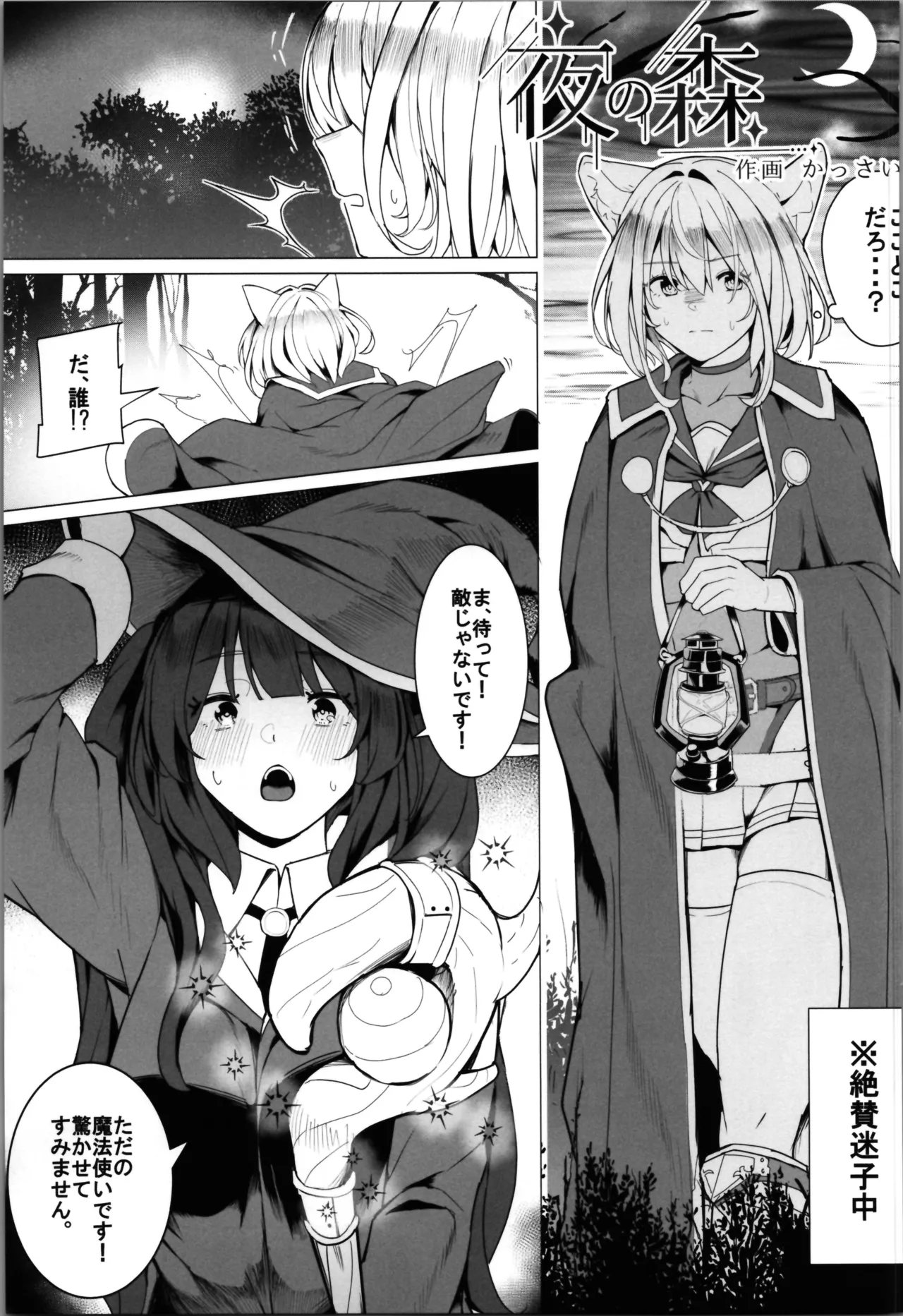 白狼剣士ハティちゃんのえっちな冒険の書 - page73