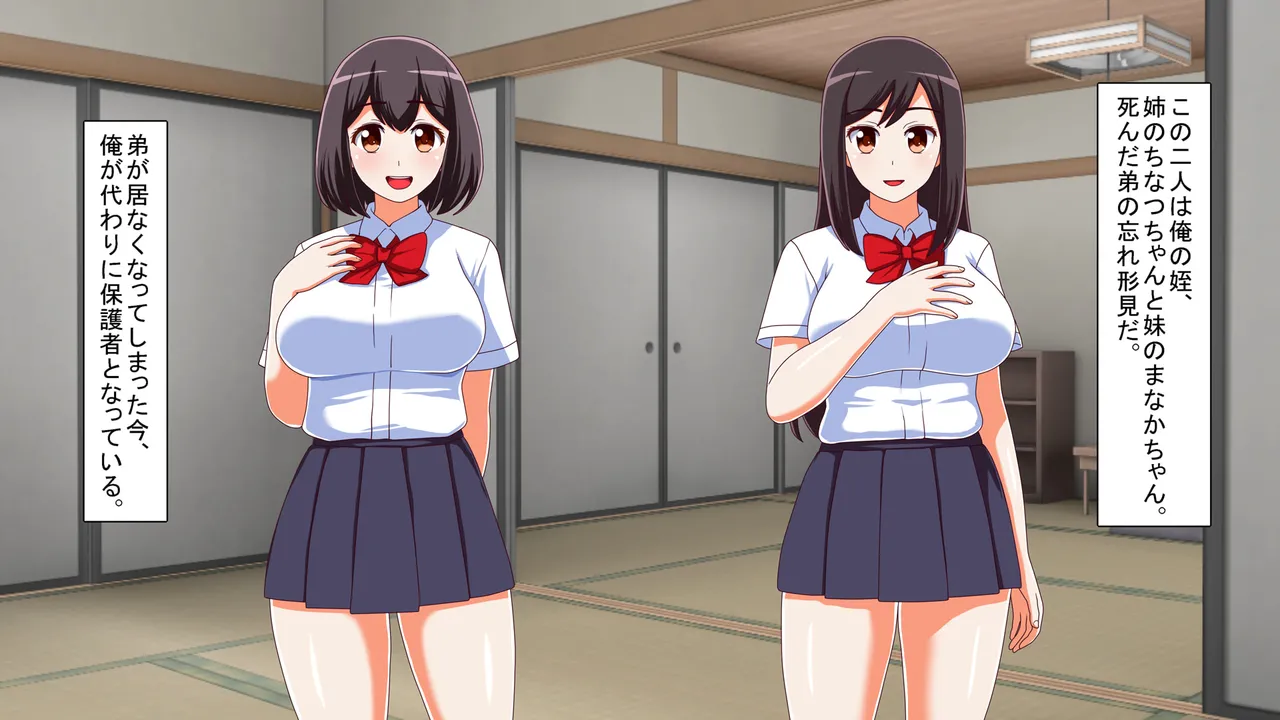 田舎の姪が無知だったので、性教育を施してやった件 - page4