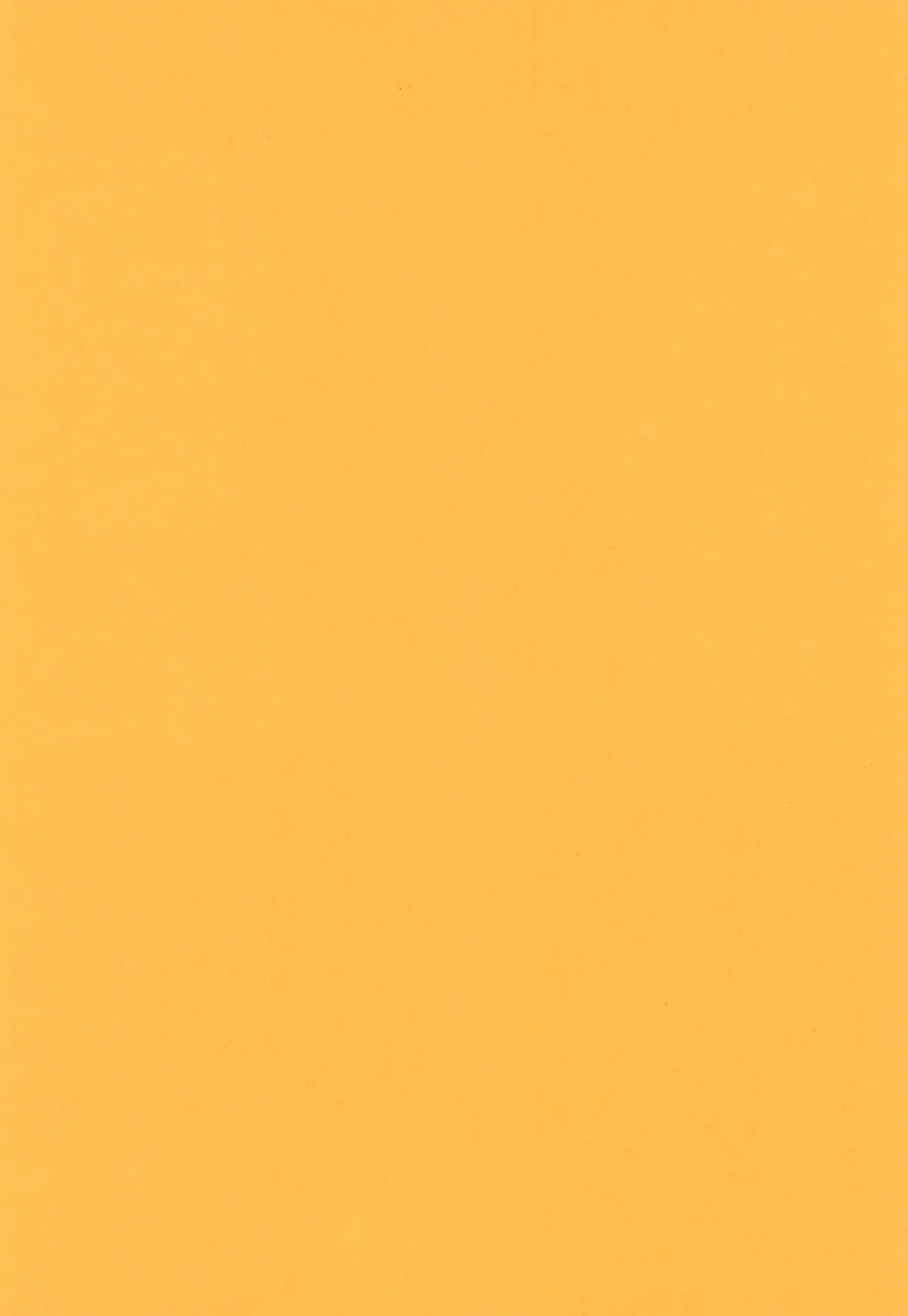 伊達に酔狂 - page4