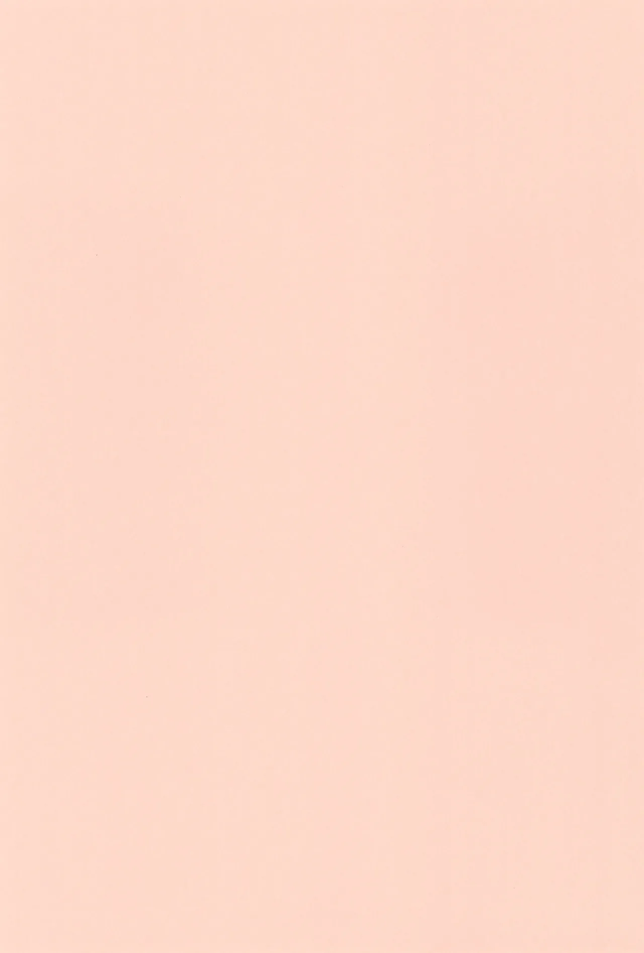 にゃんでもするから! - page3