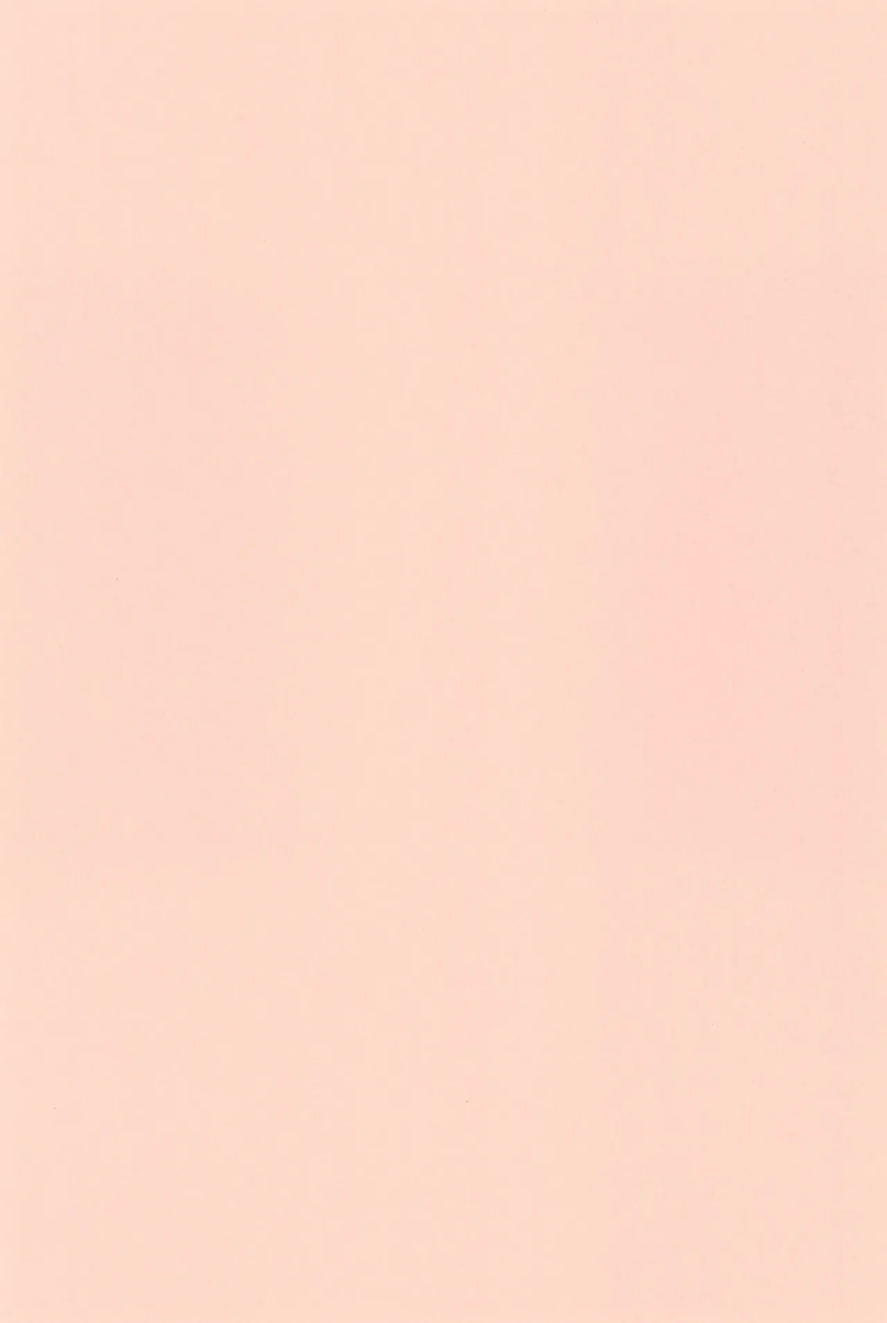 にゃんでもするから! - page41