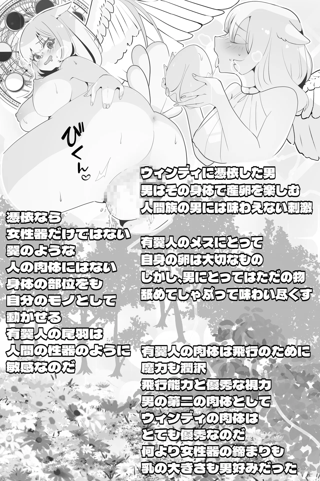 異世界憑依紀行ー有翼人とマーメイドー - page14