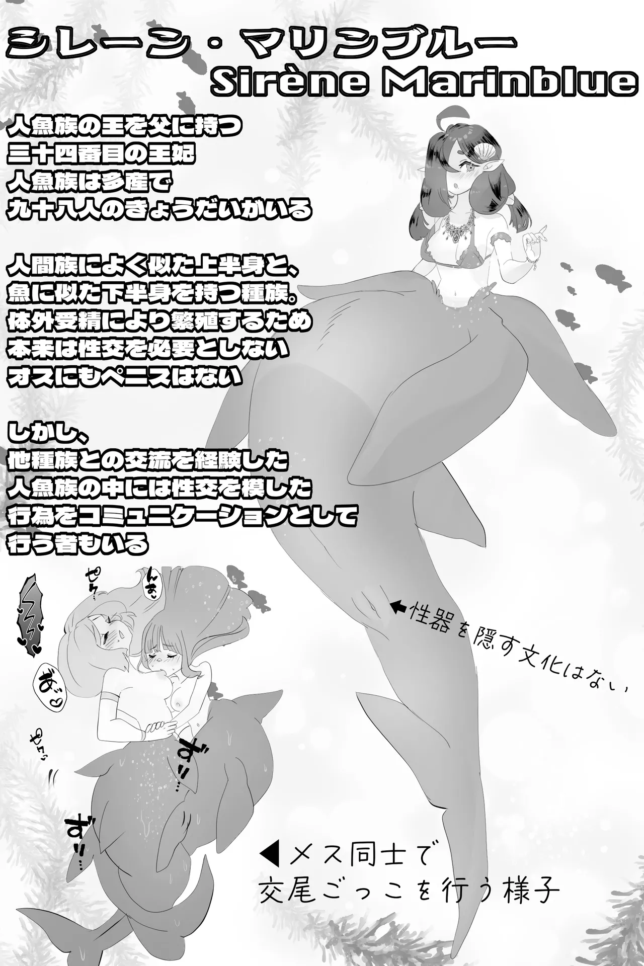 異世界憑依紀行ー有翼人とマーメイドー - page23