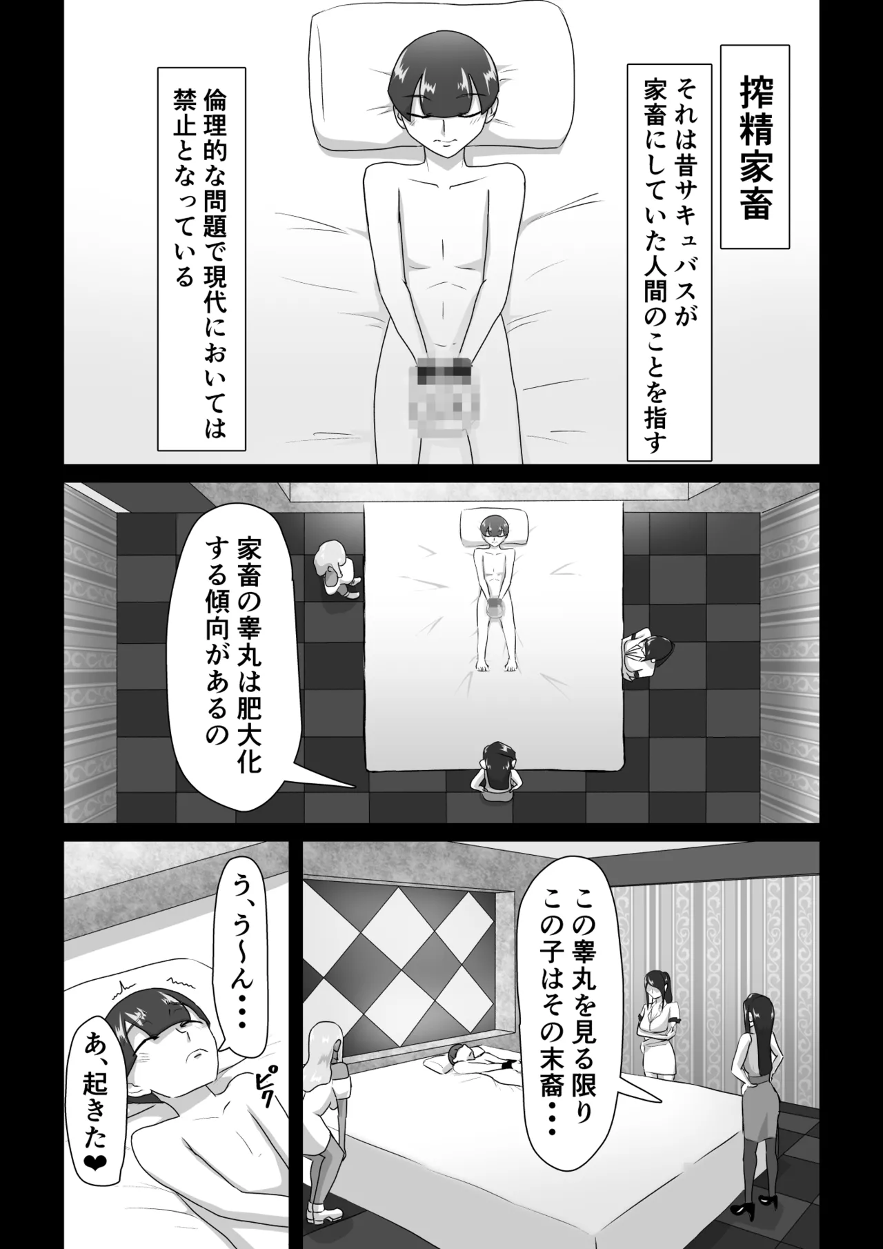 搾精契約〜サキュバス達の本気搾精三重奏〜 - page2