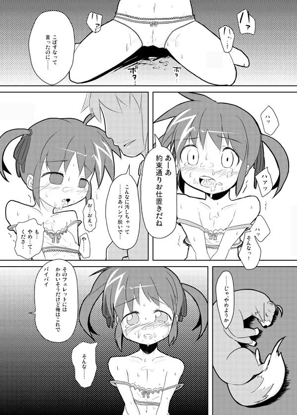 「いちろー」私がなのはを助けるから - page13