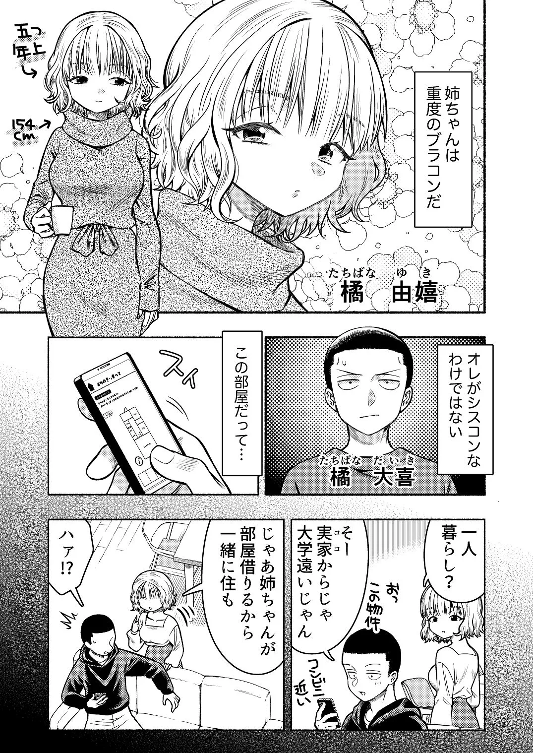 同棲してる姉と弟〜一線を越えた夜〜 - page3