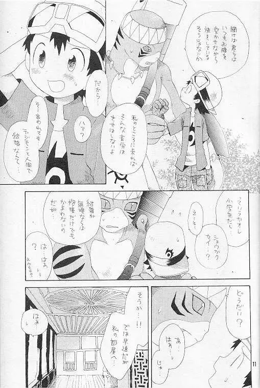 天然同胞宮殿遠近法の書 - page10