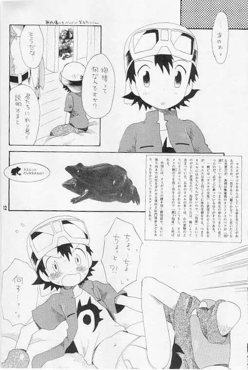 天然同胞宮殿遠近法の書 - page11