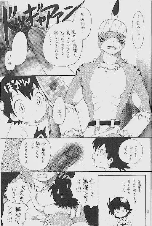 天然同胞宮殿遠近法の書 - page14