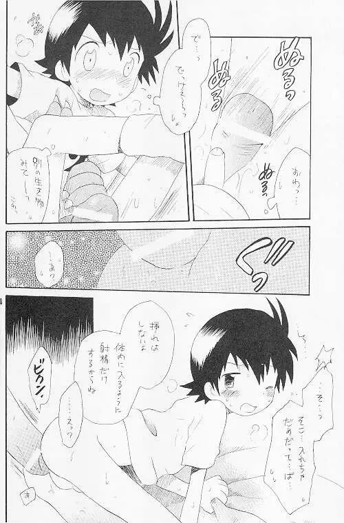 天然同胞宮殿遠近法の書 - page17
