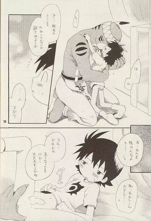 天然同胞宮殿遠近法の書 - page23