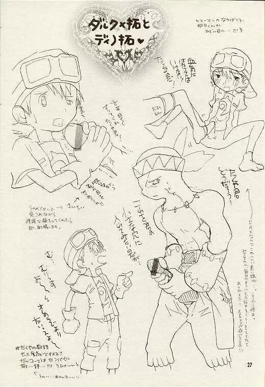 天然同胞宮殿遠近法の書 - page26