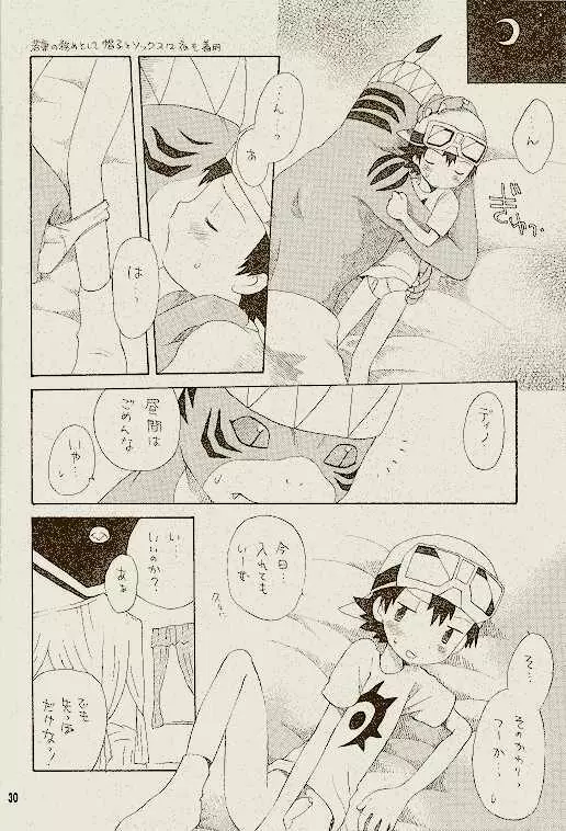 天然同胞宮殿遠近法の書 - page29