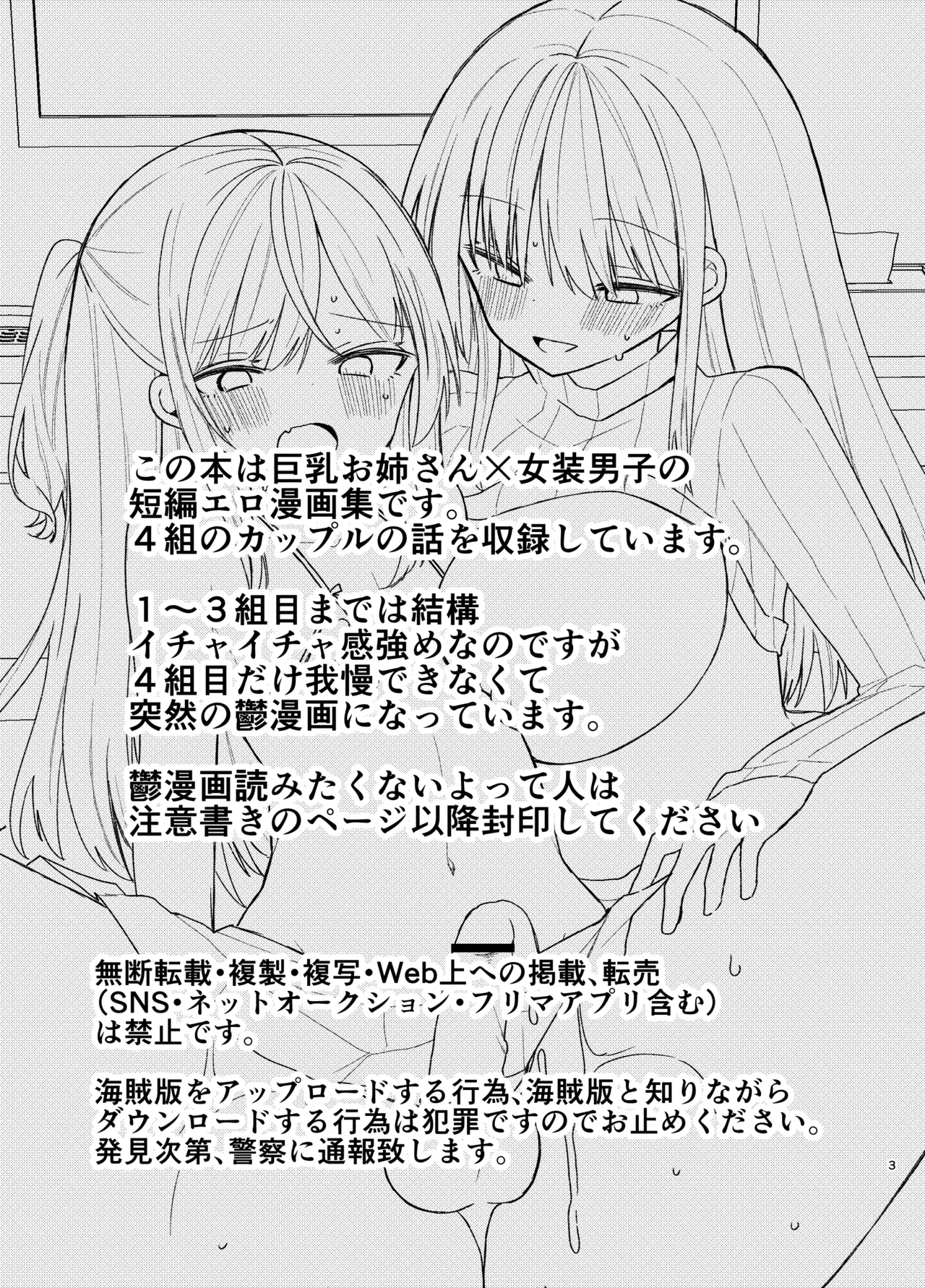 お姉さんが女装男子をめちゃくちゃにする本 - page2