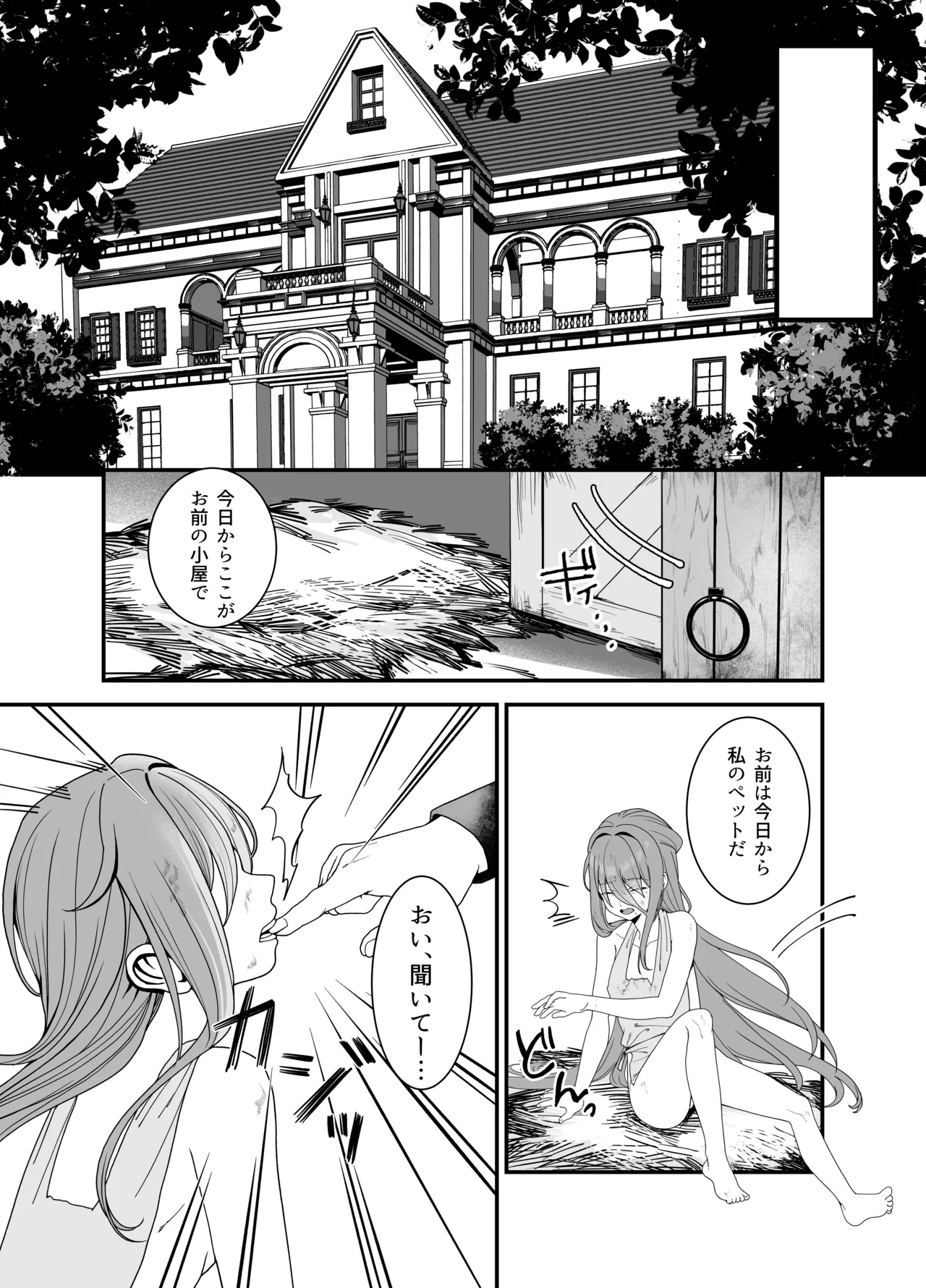 どれいがペットにそだつまで - page3