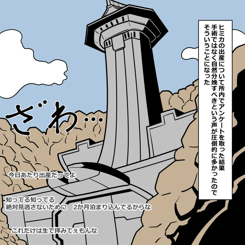 妃魅禍 ボテ腹SEX出産絶頂 - page10