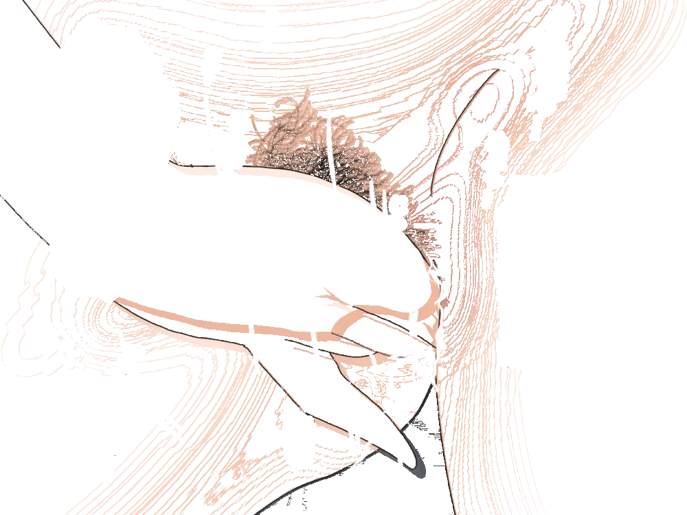 杜戸先生と苫田ママをレズらせて3Pしてみた夜-と…その後の話 - page279