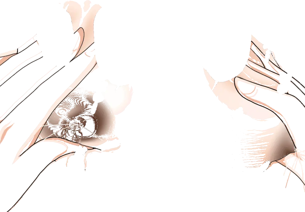 杜戸先生と苫田ママをレズらせて3Pしてみた夜-と…その後の話 - page67