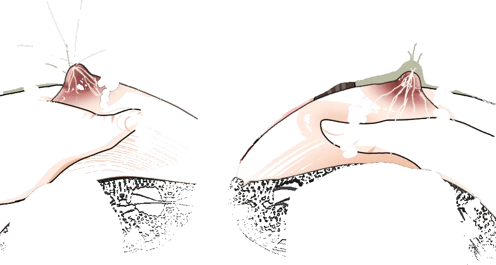 杜戸先生と苫田ママをレズらせて3Pしてみた夜-と…その後の話 - page74