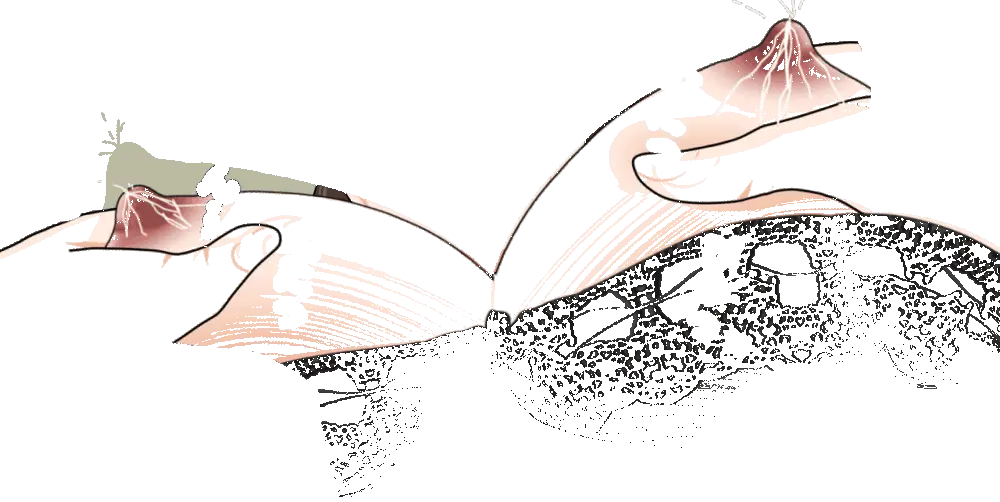 杜戸先生と苫田ママをレズらせて3Pしてみた夜-と…その後の話 - page75