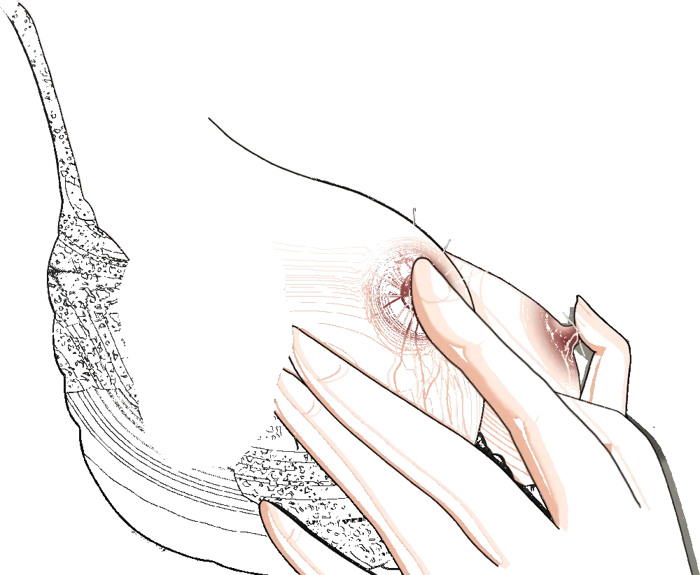 杜戸先生と苫田ママをレズらせて3Pしてみた夜-と…その後の話 - page76