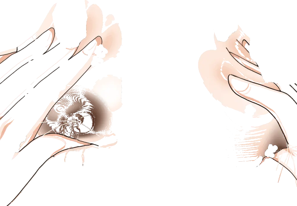 杜戸先生と苫田ママをレズらせて3Pしてみた夜-と…その後の話 - page82