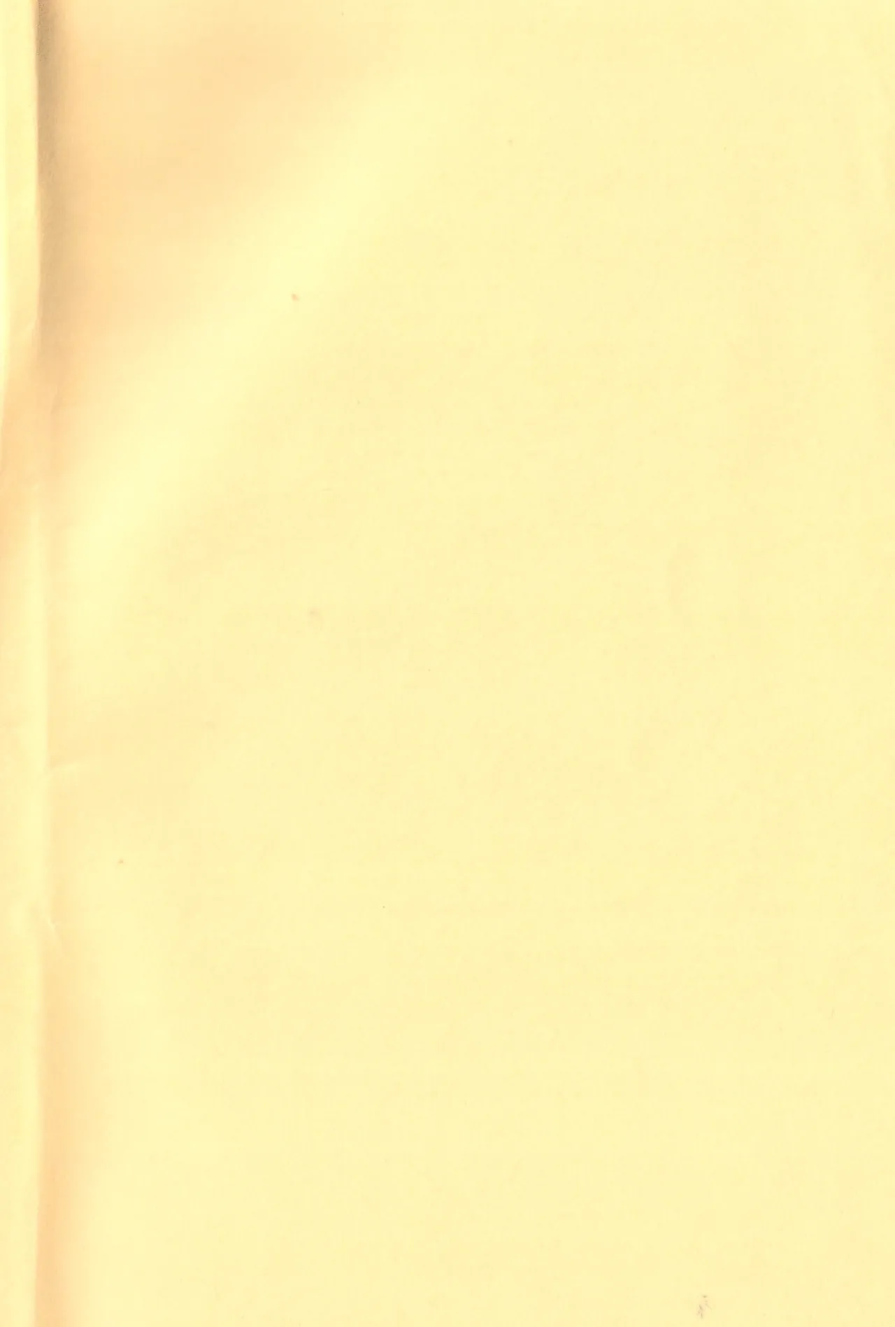 O ni ichi yantoisshowoisshoniyaritasugiru domesutikkuparipi - page2