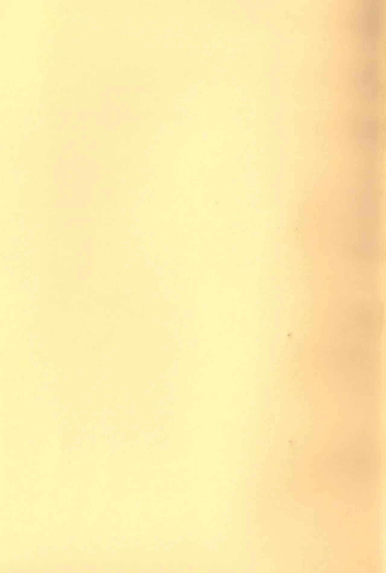 O ni ichi yantoisshowoisshoniyaritasugiru domesutikkuparipi - page23