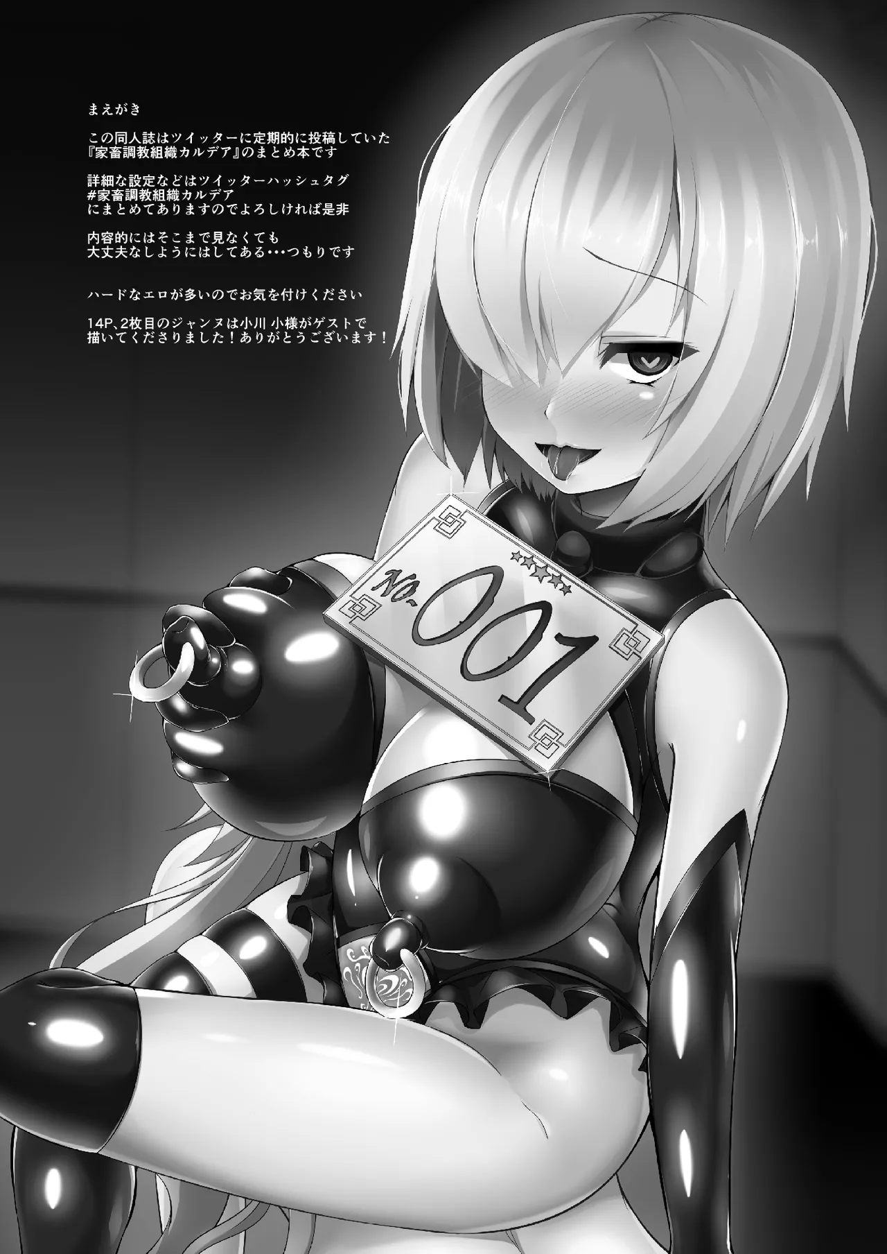 家畜調教組織CHALDEA - page3