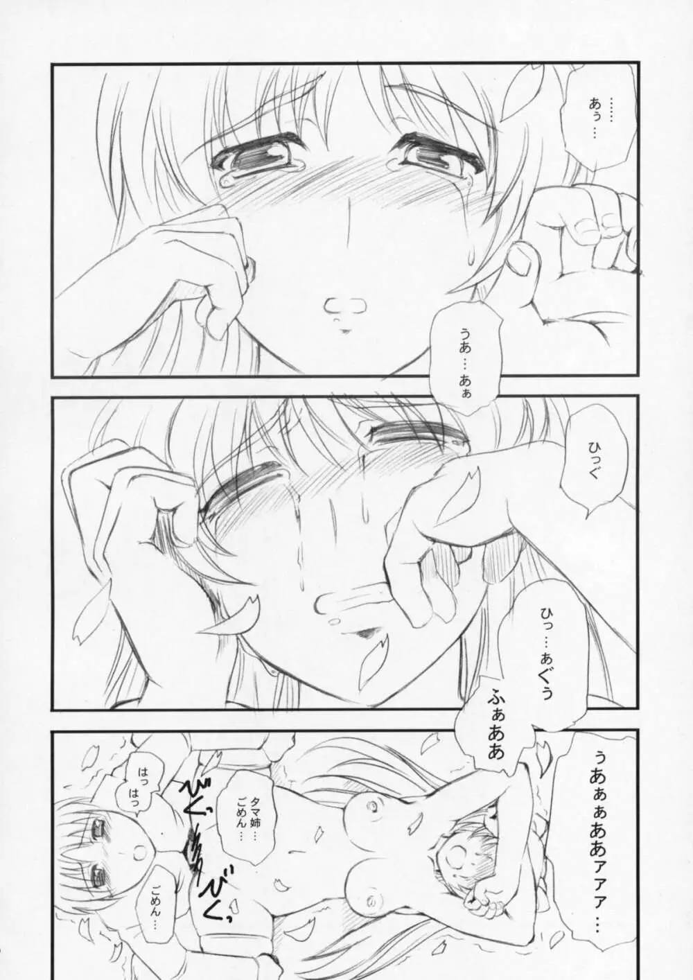 たまセン - page11