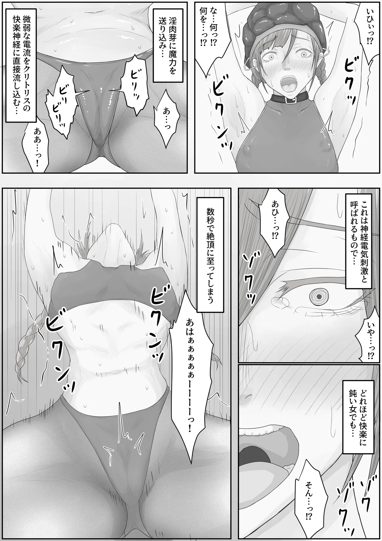 帝国家畜化調教2 竜騎士レティシア - page9